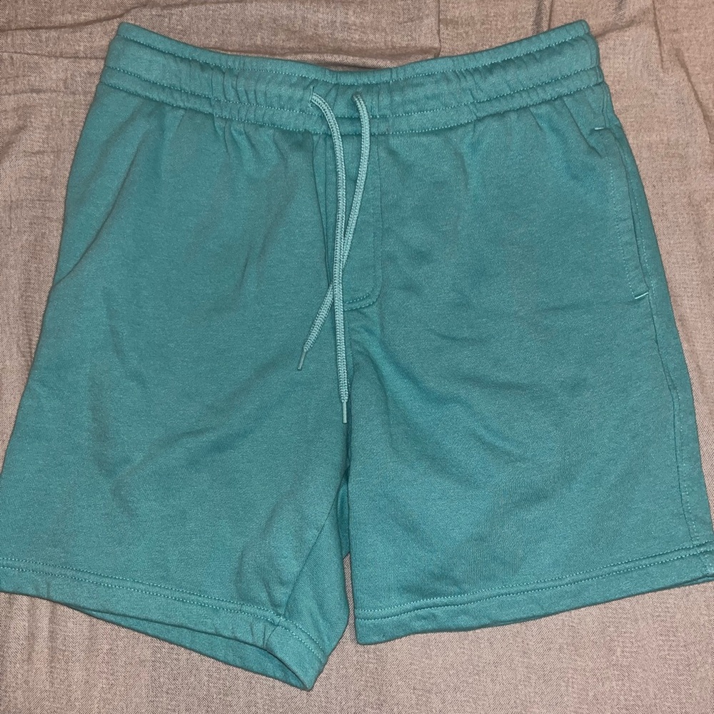Teal Men's Casual Shorts
